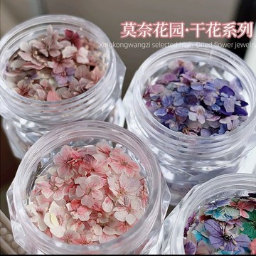 ✨台灣出貨✨美甲干花混裝素材莫奈花園迷你五瓣花材料紫色小碎花diy指甲飾品