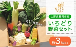 いろどり野菜セット　10種類以上　3㎏以上　やさいろ