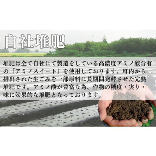 ふるさと納税 熊本県 あさぎり町 熊本県産 熟成黒にんにく 450g(150g×3袋)