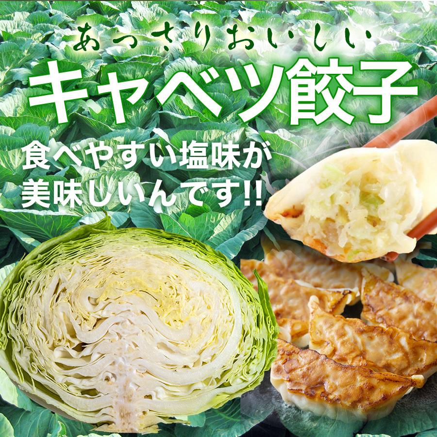 餃子 取り寄せ 業務用 冷凍 生餃子 国産素材 時短 お手軽 簡単 大容量 餃子計画 キャベツ餃子 50個入り