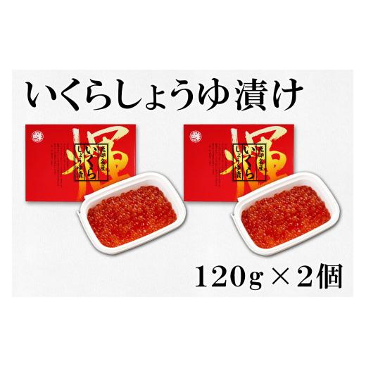 ふるさと納税 北海道 鹿部町 北のハイグレード食品認定の「無着色たらこ」といくらしょうゆ漬けセット（計480g）たらこ いくら