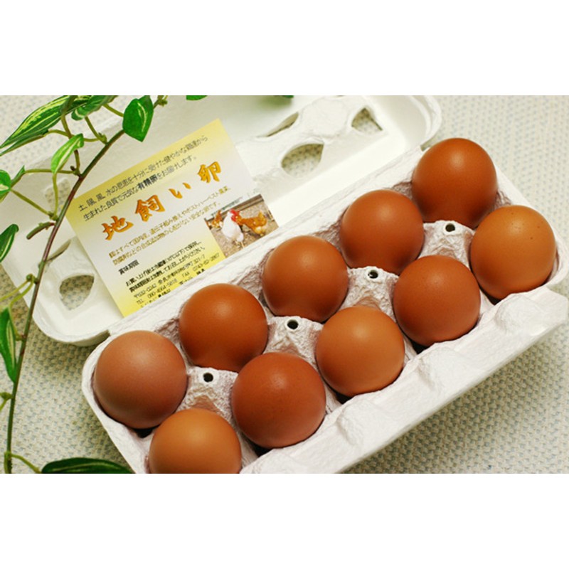 地飼いこがね卵（１０玉入り）【v1000】（12月15日(金)）　LINEショッピング