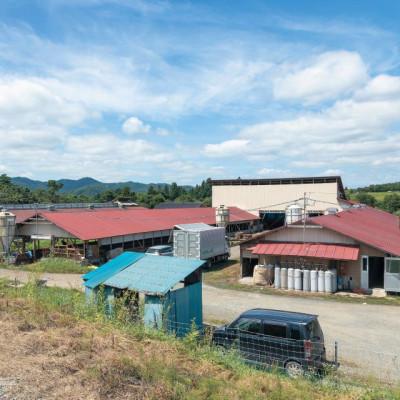 ふるさと納税 住田町 ありすポーク精肉セット