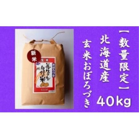 ふるさと納税 令和5年産！『100%自家生産玄米』善生さんの自慢の米 玄米おぼろづき４０kg※一括発送 北海道岩見沢市