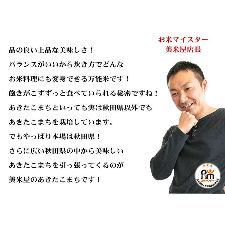 新米 お米 20kg 送料無料 白米 あきたこまち 秋田小町 5kg×4袋 秋田県産 令和5年産  20キロ 食品 北海道・沖縄は追加送料 お得