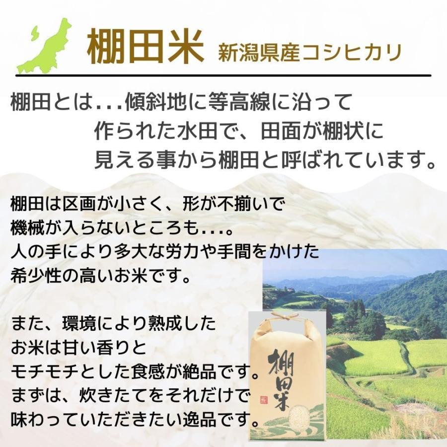 受注精米 新潟県産 棚田米 コシヒカリ 5kg お米 送料無料 白米 令和4年産 2022年