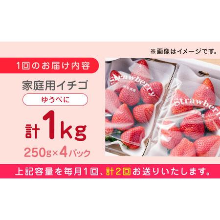 ふるさと納税 ゆうべに いちご セット 250g×4P 農園直送 産地直送 熊本県産いちご 山都町産いちご 完熟いちご .. 熊本県山都町