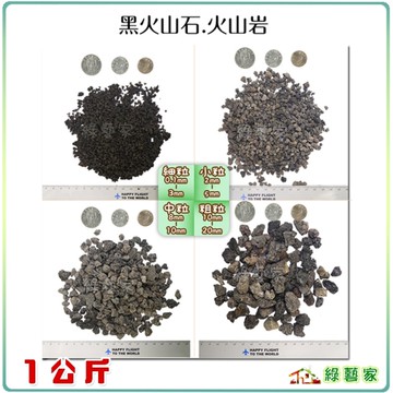 【綠藝家】黑火山石1公斤包裝 // 介質 盆栽裝飾 土壤介質 火山石