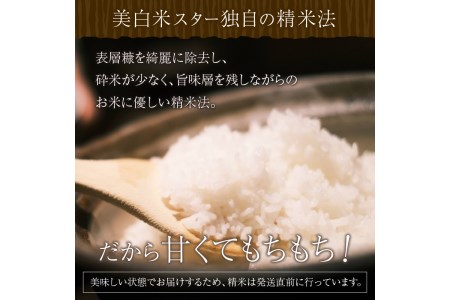 令和5年産 新米 美白精米 丹後こしひかり 3kg(2合×10) 1等米