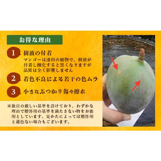 ふるさと納税 沖縄県 石垣市 《2024年6月下旬〜7月下旬発送》最高糖度23度！？ 完熟！7Lサイズ お得な幻のキーツマンゴー【 沖縄 石垣島 石垣 八重…