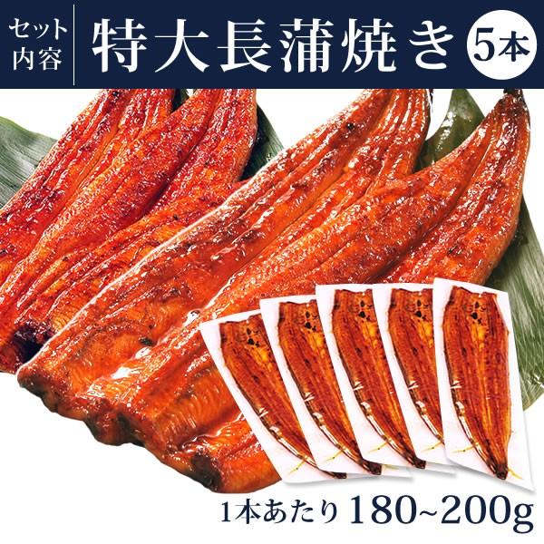 お歳暮 ギフト 2023 国産 うなぎ 蒲焼き 食べ物 お祝い 誕生日 特大長蒲焼5本 プレゼント 土用の丑の日 お年賀 御歳暮 御年賀 化粧箱 Kset 3〜5人用 AB