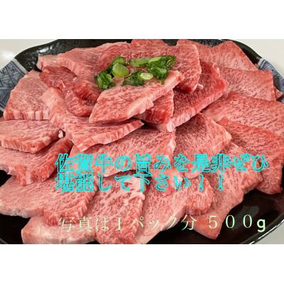 ふるさと納税 佐賀市 佐賀牛焼き肉セット500g×2パック