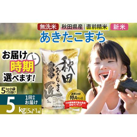 ふるさと納税 ＜新米＞秋田県産 あきたこまち 5kg (5kg×1袋) 令和5年産 発送時期が選べる お米 秋田県仙北市