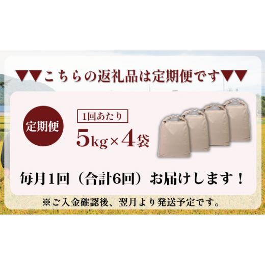 ふるさと納税 北海道 仁木町 6ヵ月連続お届け　銀山米研究会の玄米＜ゆめぴりか＞20kg