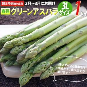 ふるさと納税 朝採り直送　春芽グリーンアスパラガス（３L）１kg　BT01 福岡県大木町