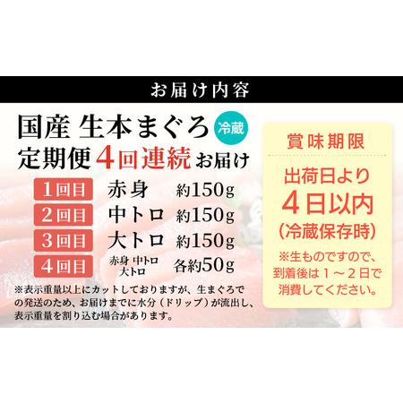 ふるさと納税 定期便 ≪4カ月連続お届け≫ おすすめ！まぐろの王様！生本まぐろ 食べ比べ 定期便 計4回 【本まぐろ マグロ まぐろ 大とろ  中ト.. 福井県越前町