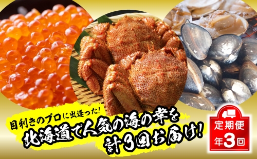 ＜2023年12月から順次発送＞ 北海道産 海の幸 定期便 いくら 500ｇ 250 ｇ × パック 毛がに 2尾 活きホッキ貝 20個 北海道 新ひだか町 ＜ 予約商品 ＞