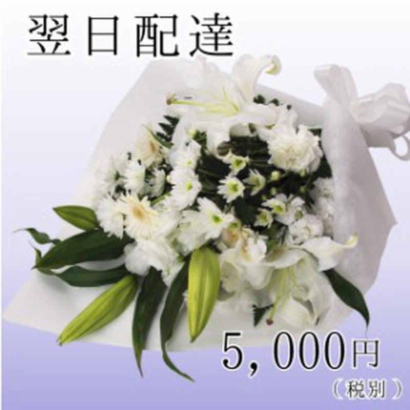 お盆 初盆 新盆 お悔やみ 法事 ご葬儀 墓参り お供え 花 お供え花束5000円 お供え お悔やみ 法事 葬式に 通販 Lineポイント最大1 0 Get Lineショッピング