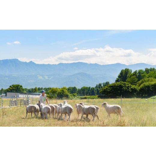 ふるさと納税 北海道 札幌市 「石狩ひつじ牧場」産の羊肉ベーコンと羊肉のセット