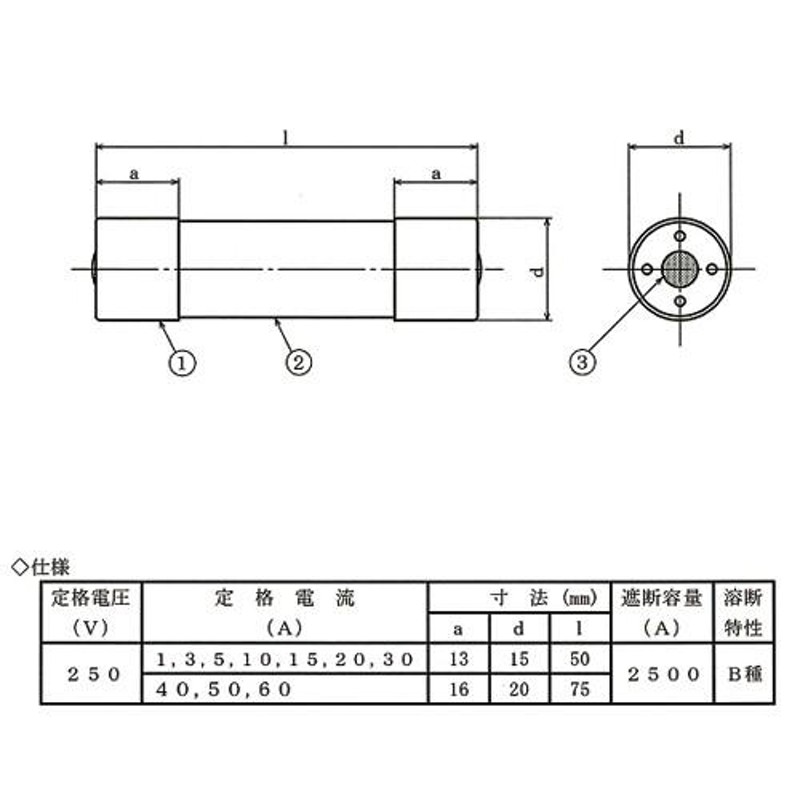 スターヒューズ  筒形ヒューズ （非再用型） 40A CT エンクロヒューズ　クリップ型 40A CT （10個入） - 4