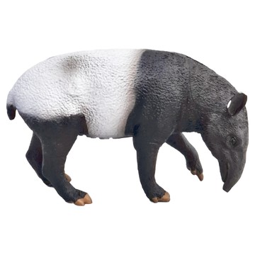 COLLECTA 野生動物系列動物模型玩具 - 馬來貘  馬來  1個