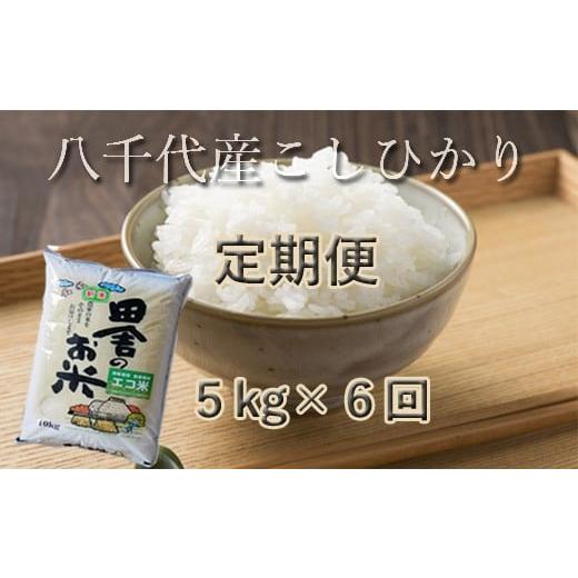 ふるさと納税 千葉県 八千代市 八千代産コシヒカリ5kg×6回