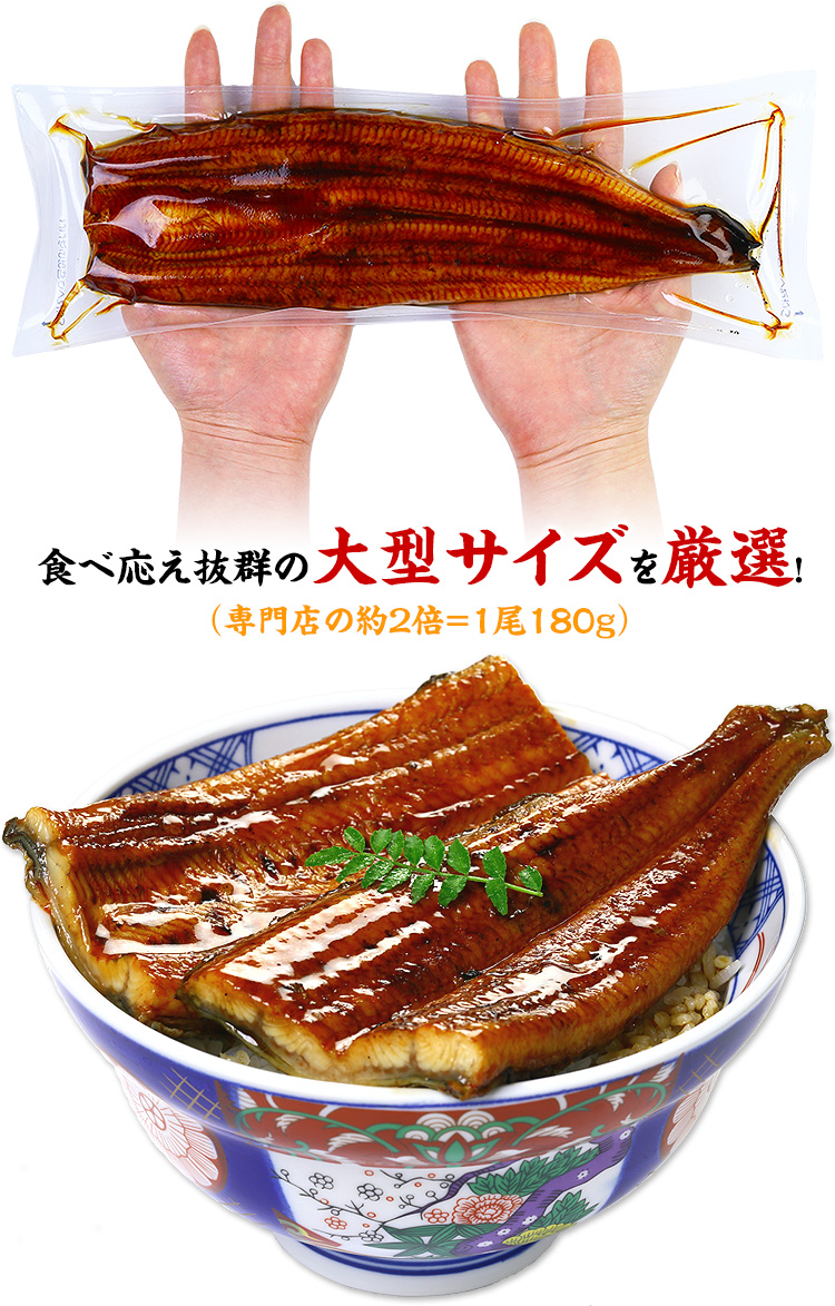 うなぎ 蒲焼き 国産 無頭180g× 2尾 真空パック入り ギフト化粧箱 ウナギ 鰻 unagi 贈り物 FF