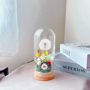 蒔漫花間－風舞絮影 永生花 玻璃盅 交換禮物 蒲公英 送禮