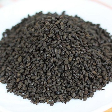 【特選】決明子600G/包【愛買】