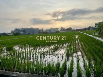 清水三田國小農地｜台中市清水區三田段