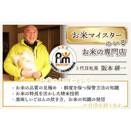 ふるさと納税 定期便12回 いちほまれ 精米 5kg×12回（計60kg）《お米マイスターが発送直前に精米！》 ／ 福井県産 ブランド.. 福井県あわら市