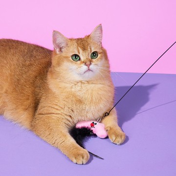 【LUUKS UP】天氣預報彈跳逗貓棒 | 不管天氣是晴是陰都想玩