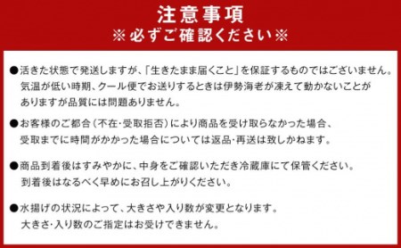 活 伊勢海老 10尾 ～ 20尾 セット 合計 約8kg 産地直送