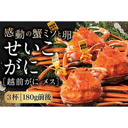 ふるさと納税 越前がに（メス）「せいこがに」 大サイズ 180g前後 × 3杯 福井県越前市