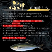 宮崎産 新海屋 鰤屋金太郎 金太郎ぶり 1000g　冷蔵　B314_1