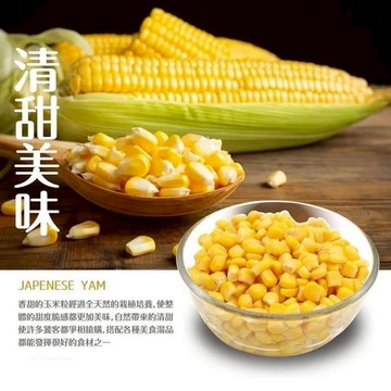 玉米罐 紅龍玉米罐 340克 全家799免運 [誠實討海人]