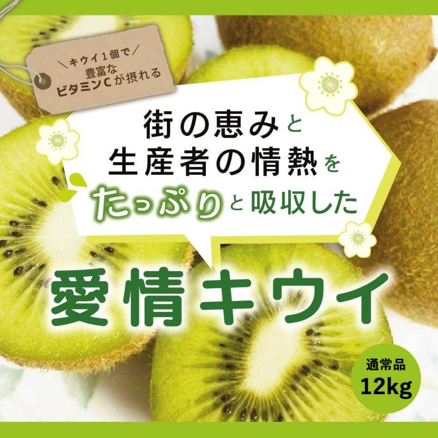 キウイ フルーツ 通常品 12kg 送料無料 国産 ギフト 果物 くだもの 家庭用 産地直送