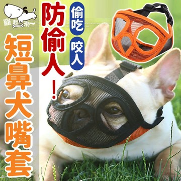 【台灣出貨】短鼻犬專用嘴套｜防咬嘴罩｜鬥牛犬巴哥嘴套｜惡霸犬嘴罩｜寵物防護面罩｜狗狗防咬套｜透氣狗嘴套｜鬥嘴防護神器