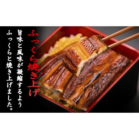 ふるさと納税 厳選!!藁焼きかつおのタタキ2節と高知県産うなぎの蒲焼き2尾セット×3回定期便 高知県安芸市