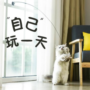貓玩具逗貓棒自嗨解悶神器新款羽毛吸盤鋼絲長桿替換頭小貓咪用品