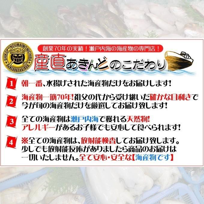 瀬戸内海産　海産物の詰め合わせ3人前5品セット　魚介類