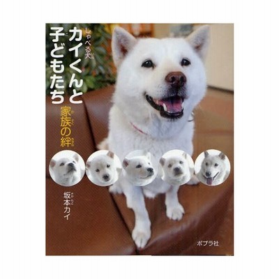 しゃべる犬カイくんと子どもたち家族の絆 坂本カイ 通販 Lineポイント最大get Lineショッピング