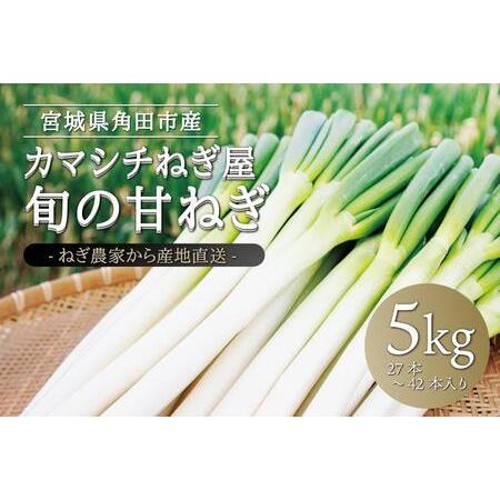 ふるさと納税 カマシチねぎ屋 旬の甘ねぎ 5kg（約27本〜42本） 宮城県角田市