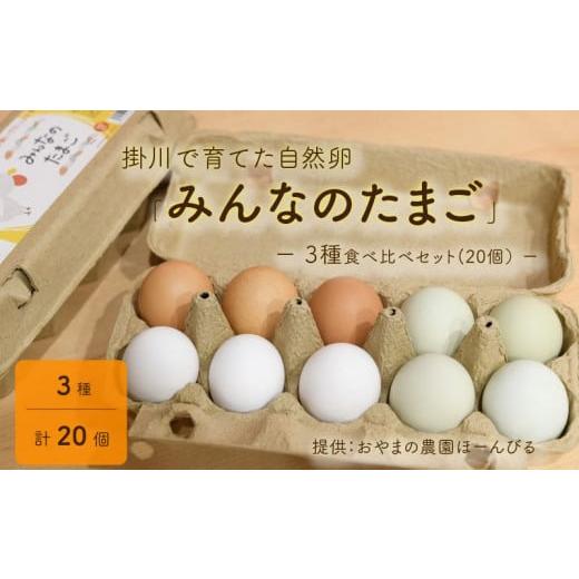 ふるさと納税 静岡県 掛川市 ５７４４　掛川で育てた 自然卵 みんなのたまご 3種 食べ比べ セット 20個 ） おやまの農園ほーんびる（ 平飼い たまご 生卵 卵…