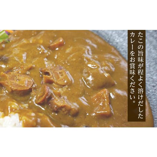 ふるさと納税 北海道 天塩町 いつでも手軽に「たこカレー」５個セット