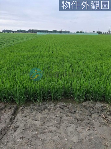 福安段-麥寮鄉臨路優質美農地近西部濱海快速公路｜雲林縣麥寮鄉福安