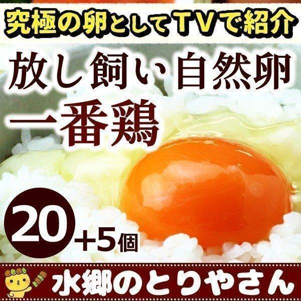 鶏卵 放し飼い自然卵 一番鶏 25個詰 （20個＋破損保障分5個） 安心卵   冷蔵 限定配送