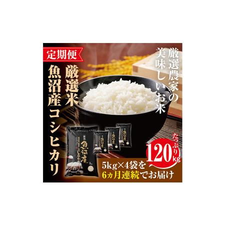 ふるさと納税 定期便  旨い飯におかずはいらない 20kg 全6回 （ 米 6ヶ月 5kg×4袋 魚沼産 コシヒカリ 魚沼産.. 新潟県魚沼市