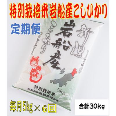 ふるさと納税 村上市 2024年1月発送開始『定期便』特別栽培米新潟県岩船産コシヒカリ　5kg 全6回