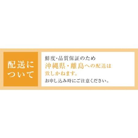 ふるさと納税 また食べたくなる 美味 シャインマスカット 1.2kg（MRN）B-147 山梨県甲州市